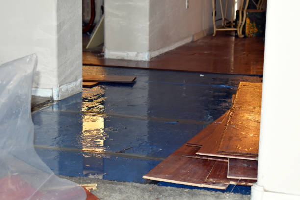 Professional Flood Damage Repair technician working in Orleans, MA